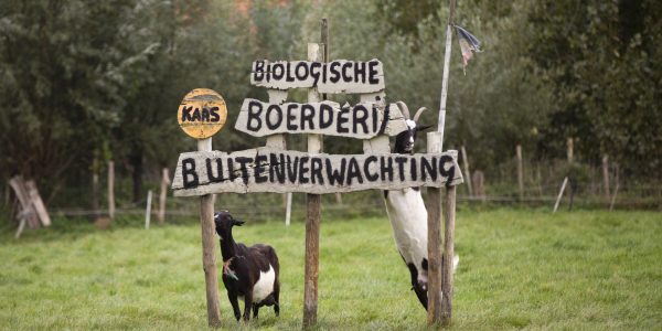 Buitenverwachting_goedgehouden11